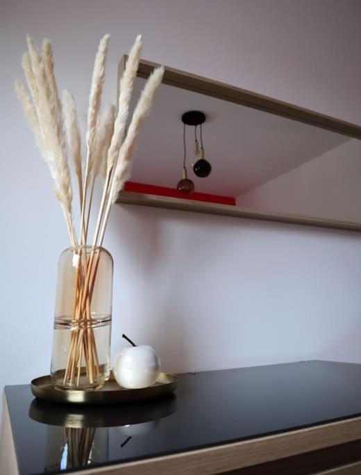 אמיינס Superbe Duplex En Hypercentre Ville מראה חיצוני תמונה